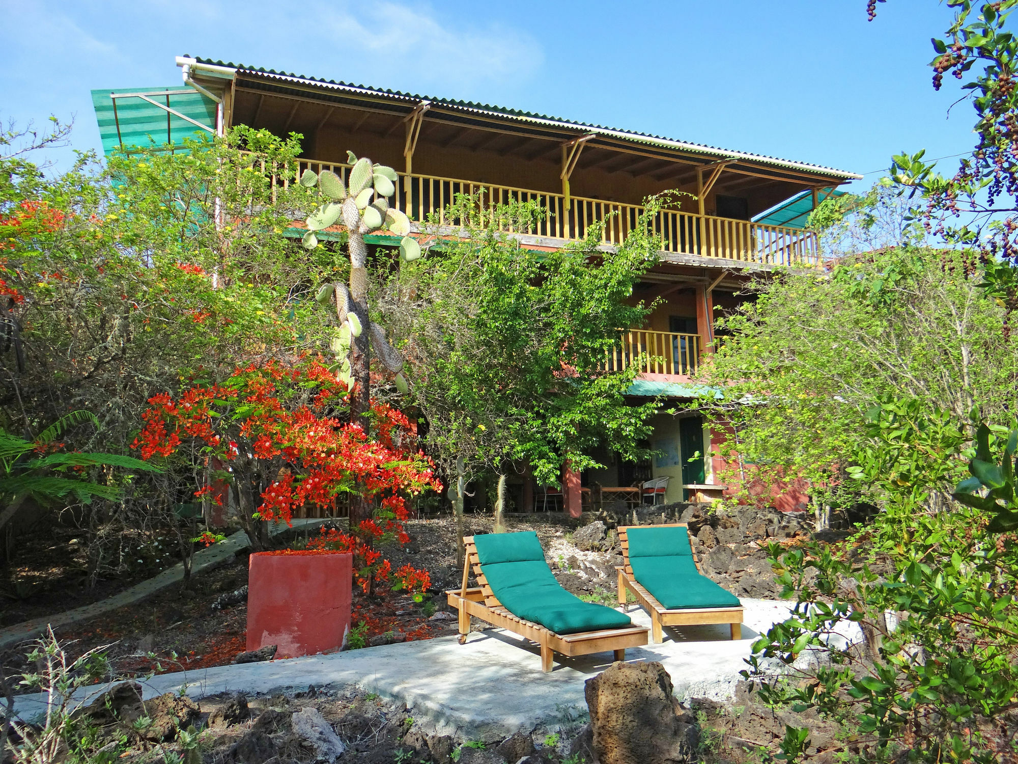 Galapagos Chalet Puerto Ayora  Kültér fotó