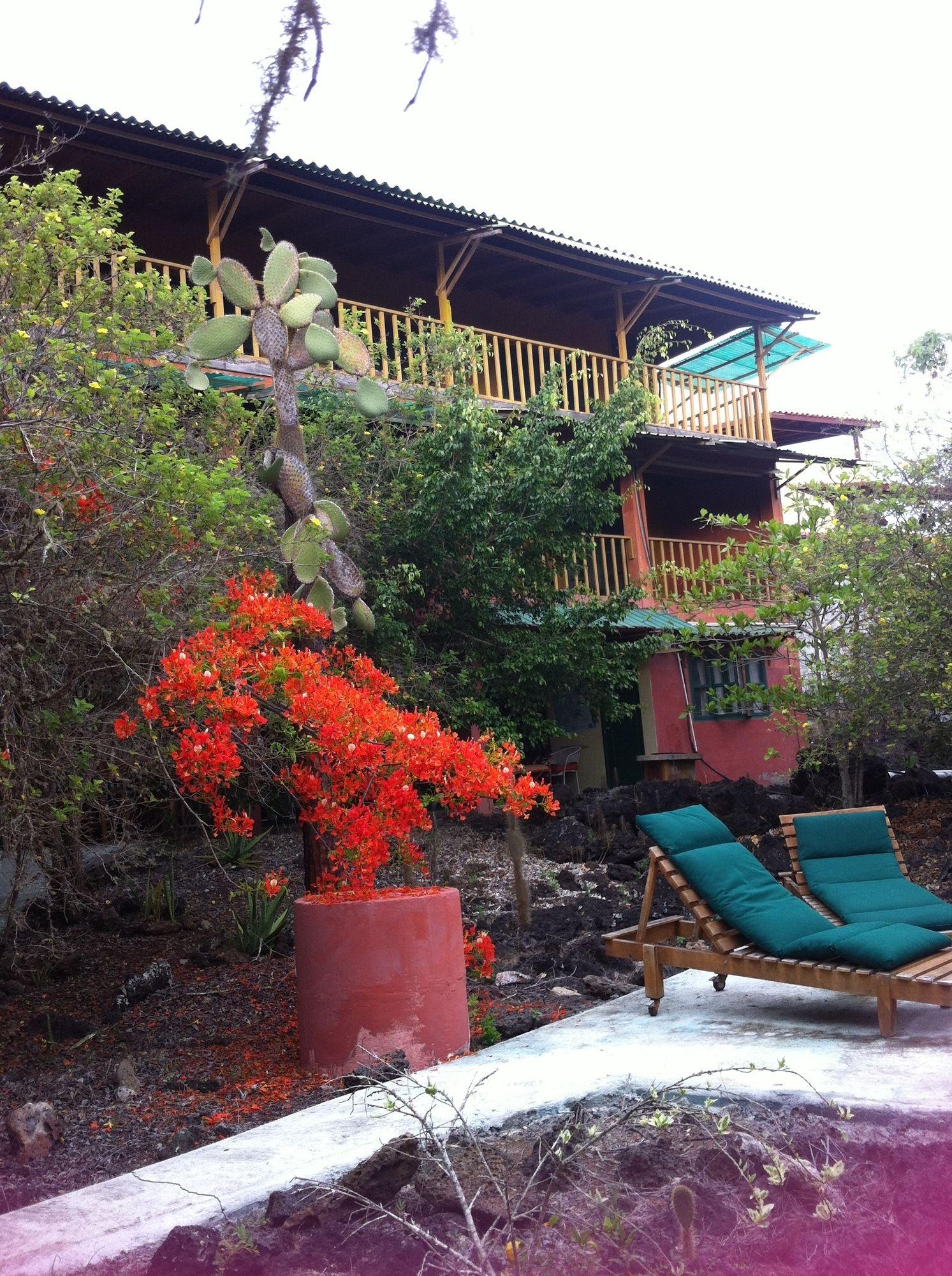 Galapagos Chalet Puerto Ayora  Kültér fotó