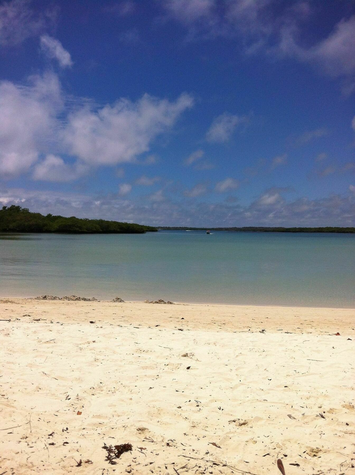 Galapagos Chalet Puerto Ayora  Kültér fotó